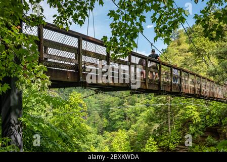 Pont suspendu au-dessus de la rivière Tallulah dans le parc national de Tallulah gorge, à Tallulah Falls, en Géorgie. (ÉTATS-UNIS) Banque D'Images