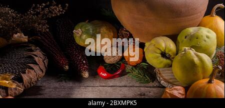 Bannière rurale automnale avec citrouilles mûres brillantes, gros tournesol sec, quinces de pomme sur un arrière-plan en bois ancien avec espace vide pour le texte. Banque D'Images