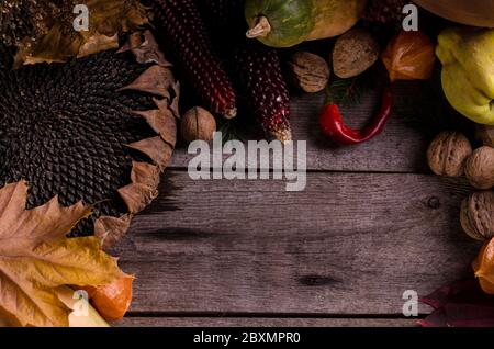 Cadre rural automnal avec citrouilles mûres brillantes, gros tournesol sec, quinces de pomme sur un arrière-plan en bois ancien avec espace vide pour le texte. Banque D'Images