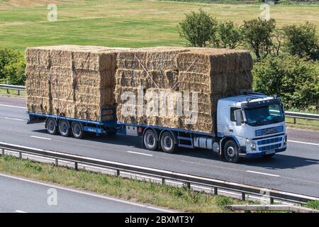 Balles carrées pour la literie animale ; camions lourds de livraison en vrac de transport, transport, camion, transport, camion, fret, véhicule, livraison, transport, industrie, fret, sur la M6 à Lancaster, Royaume-Uni Banque D'Images