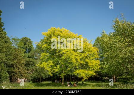 Southover Grange Gardens, Lewes, East Sussex, Royaume-Uni Banque D'Images