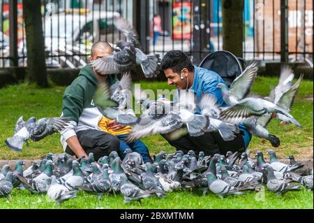 Cork, Irlande. 8 juin 2020. De nombreux magasins en Irlande rouvrent aujourd'hui après une fermeture de 3 mois en raison de la pandémie de Covid-19. Une famille nourrit les pigeons dans le parc Bishop Lucey, Grand Parade, Cork. Crédit : AG News/Alay Live News Banque D'Images