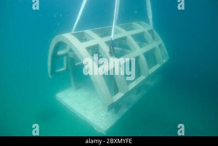 (200608) -- HAIKOU, 8 juin 2020 (Xinhua) -- la photo prise le 21 janvier 2016 montre un récif artificiel dans la zone maritime de l'île de Wuzhizhou à Sanya, dans la province de Hainan, au sud de la Chine. Le ranch marin de la zone maritime de l'île de Wuzhhizhou à Sanya est le premier ranch marin tropical de Chine. Ces dernières années, le ranch marin a successivement effectué la pose artificielle de récifs, la restauration de l'environnement marin et la transplantation de coraux, favorisant progressivement la protection et la restauration de l'écosystème marin. À la fin de 2019, un total de 1,526 récifs artificiels de pêche de différents types, 21 récifs de navires a Banque D'Images