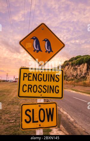 Penguin crossing sign à Oamaru dans l'île du sud de Nouvelle-Zélande. Omaru abrite le pingouin bleu. Banque D'Images