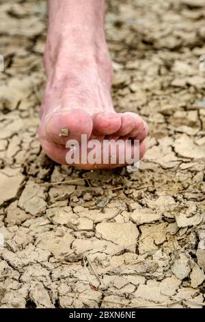 Le pied sur le sol desséché. L'empreinte écologique de la part de lourds dégâts sur notre terre. Banque D'Images