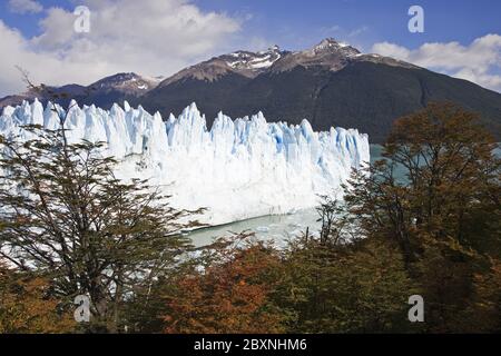 Masses de glace au glacier Perito Moreno, Patagonie Banque D'Images