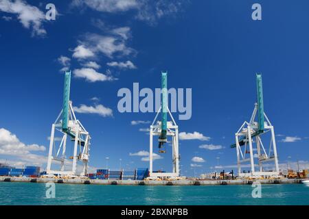 Grues sur ciel bleu au port de Miami, vue sur le front de mer Banque D'Images