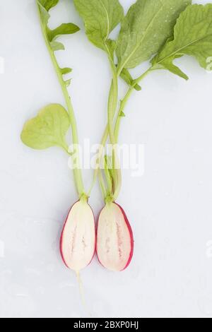 radis demi-coupés avec feuilles sur fond blanc. Faisceau de racine de radis frais, radis rouges avec feuilles vertes vue de dessus Banque D'Images