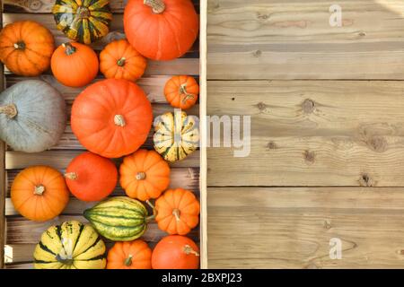 Boîte avec citrouilles et cendres sur fond en bois Banque D'Images