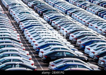 Rangées d'une nouvelle voiture garées dans un centre de distribution sur une usine de voitures par temps ensoleillé. Vue de dessus du stationnement en plein air. Banque D'Images