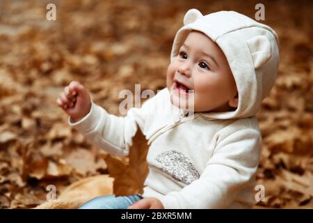 Portrait of a cute baby boy avec feuille d'arbre dans les mains assis sur le sol recouvert de feuilles d'arbres sèches à l'automne parc, enfance heureuse concept Banque D'Images