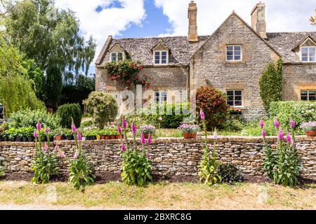 Foxgloves poussant à l'extérieur d'un chalet en pierre dans le hameau de Cotswold de Taddington, Gloucestershire Royaume-Uni Banque D'Images