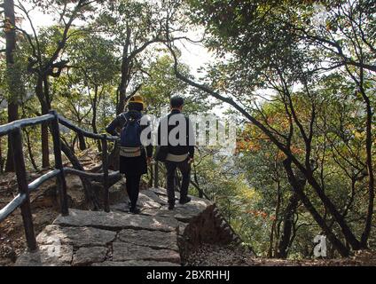 Huangshan Mountain dans la province d'Anhui, Chine. Des randonneurs non identifiables sur un chemin à travers la forêt entre le pont Sanxi et le pont de randonnée Fairy. Banque D'Images