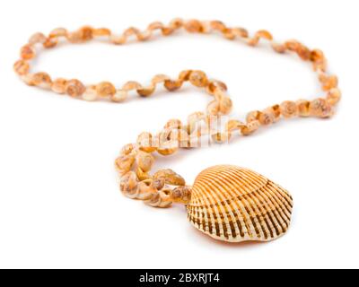 Collier de coquillages de mer Banque D'Images