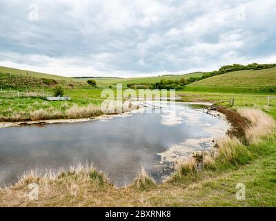 River Cuckmere, Sussex, Angleterre. Les plaines inondables de Cuckmere Haven au parc Seven Sisters dans la réserve naturelle de English South Downs. Banque D'Images