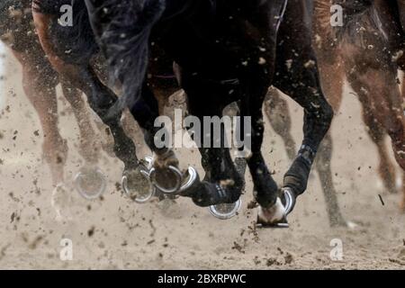 Les coureurs redonnent la surface de Polytrack en se tournant vers l'arrière tout droit à l'hippodrome de Chelmsford City. Banque D'Images