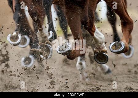 Les coureurs redonnent la surface de Polytrack en se tournant vers l'arrière tout droit à l'hippodrome de Chelmsford City. Banque D'Images