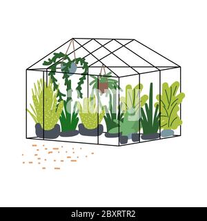 Serre avec plantes fleurs vecteur illustration style dessiné à la main. Illustration de Vecteur