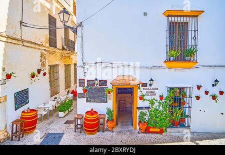 ARCOS, ESPAGNE - 23 SEPTEMBRE 2019: Le bar à tapas et la maison à vin dans la rue étroite de la vieille ville avec des barils, servant comme tables, plantes en pots, petit bo Banque D'Images