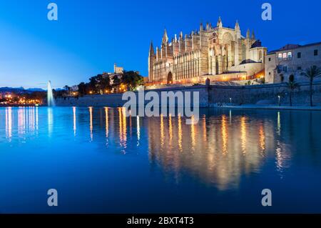 La cathédrale de Palma La Seu de nuit avec l'Almudaina Parc de La Mar Palma de Majorque Îles Baléares Espagne Banque D'Images