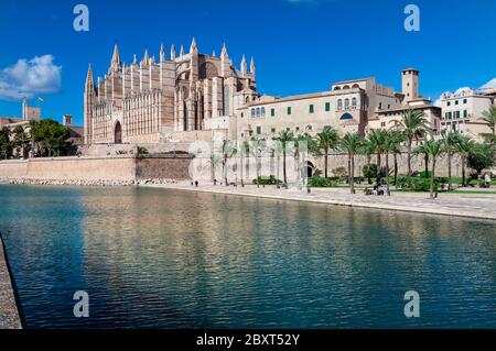 Cathédrale de Palma la Seu et centre-ville historique du Parc de la Mar vue de l'autre côté de la mer, mer, Majorque, Baléares, Espagne Architecture horizontale Banque D'Images