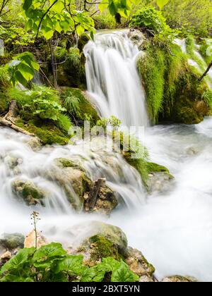 Lacs de Plitvice intensif vive Forêt verte au printemps en Croatie Europe vide cascade rivière écoulement fluvial exposition longue