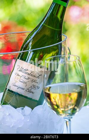 Stellenbosch 2020 Afrique du Sud Sauvignon blanc bouteille de verre et seau à glace en plein air ensoleillé en été, avec étiquette postdatée Banque D'Images