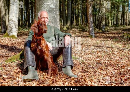 Un chasseur est assis au soleil de printemps sur le plancher de la forêt par un arbre. Entre ses jambes se trouve son beau chien de chasse irlandais Setter. Banque D'Images