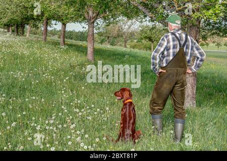 Un chasseur se tient sous les arbres fruitiers et surveille sa zone de chasse. Son beau chien de chasse irlandais Setter est assis à côté de lui. Banque D'Images