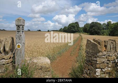 La Cotswold Way près de Broadway, Angleterre Banque D'Images