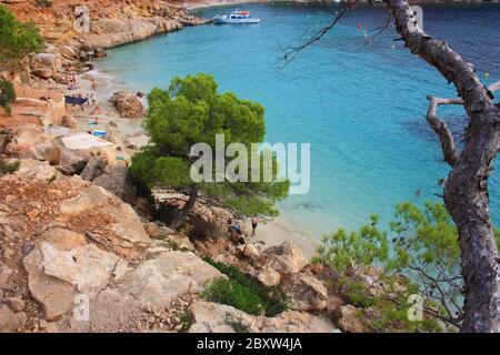 la destination touristique estivale de cala saladeta entre mer et nature sauvage et arbres et eau cristalline à ibiza Banque D'Images