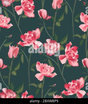 Roses plante rose botanique sauvage modèle. Papier peint de jungle aquarelle sur fond sombre. Jardin beauté sombre art floral Illustration de Vecteur