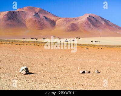 Désert des Rocheuses de l'altiplano andin. Salvator Dali désert dans le parc national Eduardo Avaroa, Bolivie, Amérique du Sud. Banque D'Images