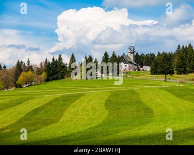 Pré fraîchement moudue dans les montagnes de Jizera près de la cabane de Kralovka et de la tour de guet, République tchèque. Banque D'Images