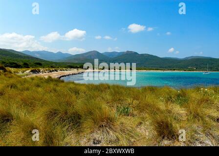 Plage de Barcaggio en Corse du Nord sur le Cap Corse, France Banque D'Images