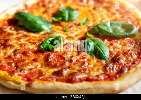 Gros plan vue panoramique peu profonde de la savoureuse pizza italienne cuite maison à la Margarita sur du papier de cuisson juste préparé au four. Fromage mozzarella fondu Banque D'Images