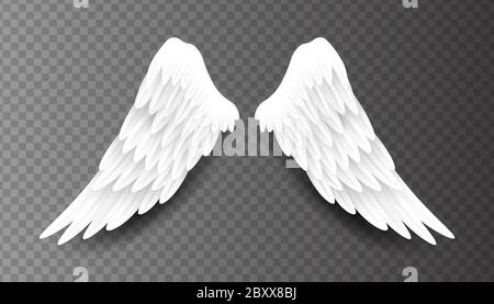 Paire de magnifiques ailes d'ange blanches isolées sur fond transparent, illustration 3D réaliste de vecteur. Spiritualité et liberté Illustration de Vecteur