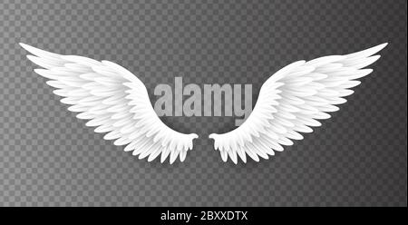 Paire de magnifiques ailes d'ange blanches isolées sur fond transparent, illustration 3D réaliste de vecteur. Spiritualité et liberté Illustration de Vecteur