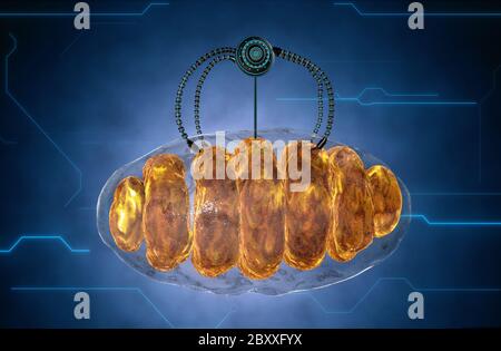 nanorobot et mitochondrie. Concept médical anatomique avenir. rendu 3d Banque D'Images