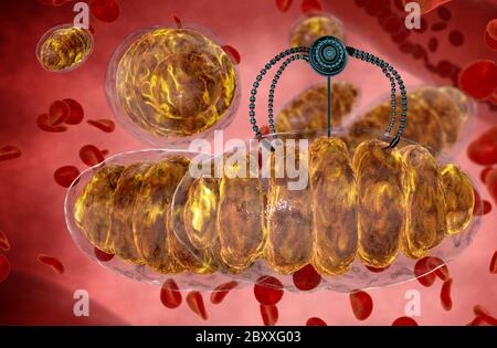 nanorobot et mitochondrie. Concept médical anatomique avenir. Anatomie humaine, rendu 3d Banque D'Images