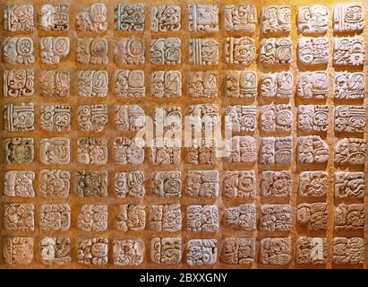 L'Alphabet Maya et système d'écriture avec glyphes. Banque D'Images