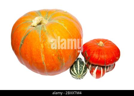 Trois citrouilles colorées isolé sur blanc. Banque D'Images