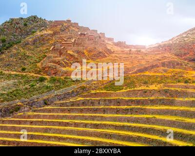 Terrasses des ruines de Pisaq. Citadelle inca dans la vallée d'Urubamba, Pérou, Amérique latine. Banque D'Images