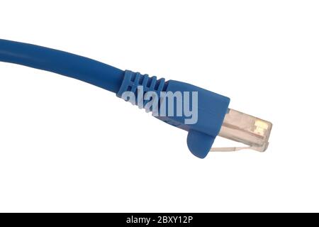 Un câble Cat5 isolé sur fond blanc Banque D'Images