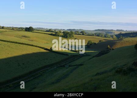 Tôt le matin, vue sur la voie entre Oborne et Poyntington en longeant la vallée à travers les champs verdoyants, Oborne, Sherbonre Dorset, Angleterre. Banque D'Images