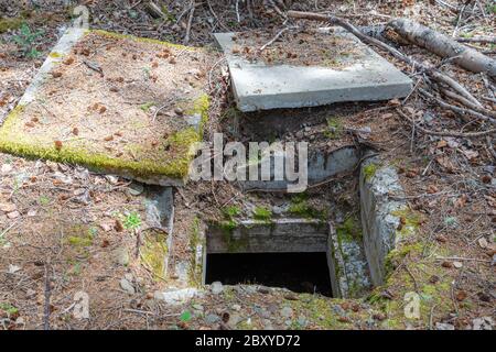 L'entrée d'un ancien bunker souterrain en béton. L'entrée est ouverte avec deux couvercles en béton au sol. Situé dans les bois. Banque D'Images