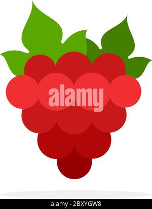 Bouquet de raisins rouges avec des feuilles Illustration de Vecteur