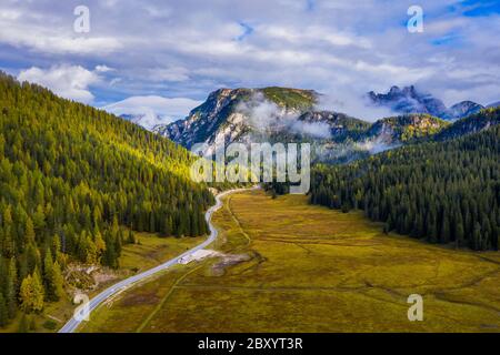 Scenic Vue aérienne d'une liquidation chemin de trekking dans une forêt. Chemin de trekking dans la forêt d'en haut, vue de drones. Vue de dessus de l'antenne d'un sentier dans la middl Banque D'Images