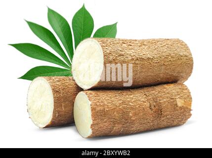 Manioc isolé sur fond blanc Banque D'Images