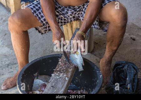 Un vieil homme local coupe à la main des poissons à leur façon dans l'île Mantanani, Kota Belud, Sabah, Bornéo Banque D'Images